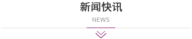新闻快讯